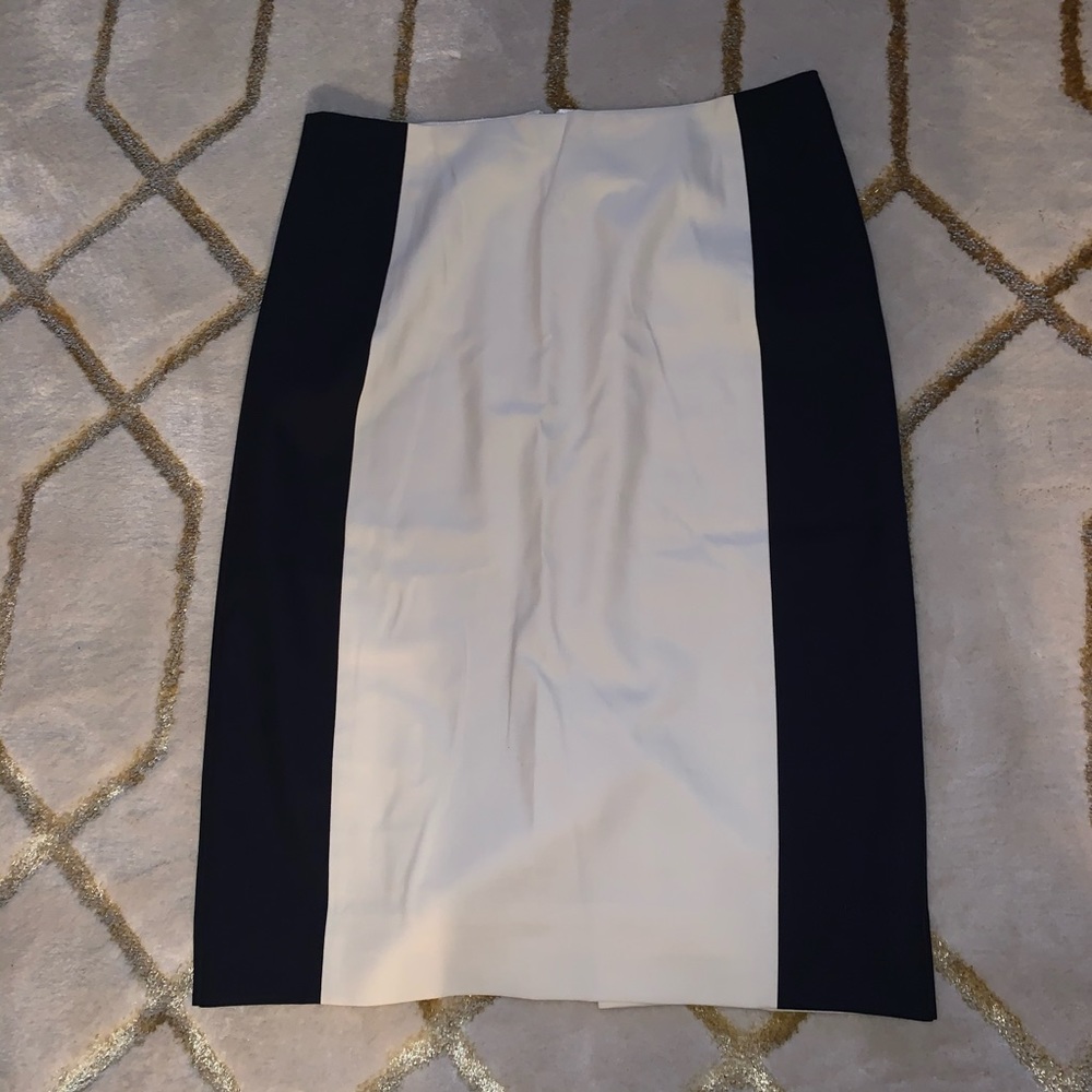 Pencil Skirt